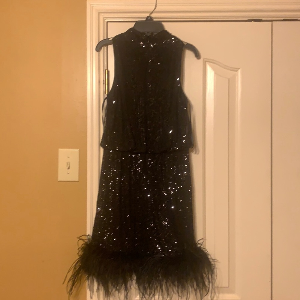 Black Formal Dress with Feathers - Picture 1 of 2